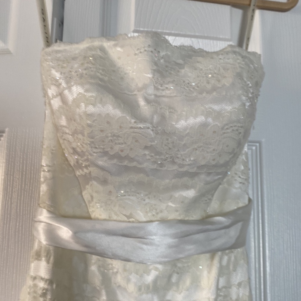 Lovely Davids Bridal lace gown with sequins [Ivory] - Picture 8 of 12
